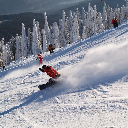Sonnenhof Resort Bayerischer Wald لام المظهر الخارجي الصورة