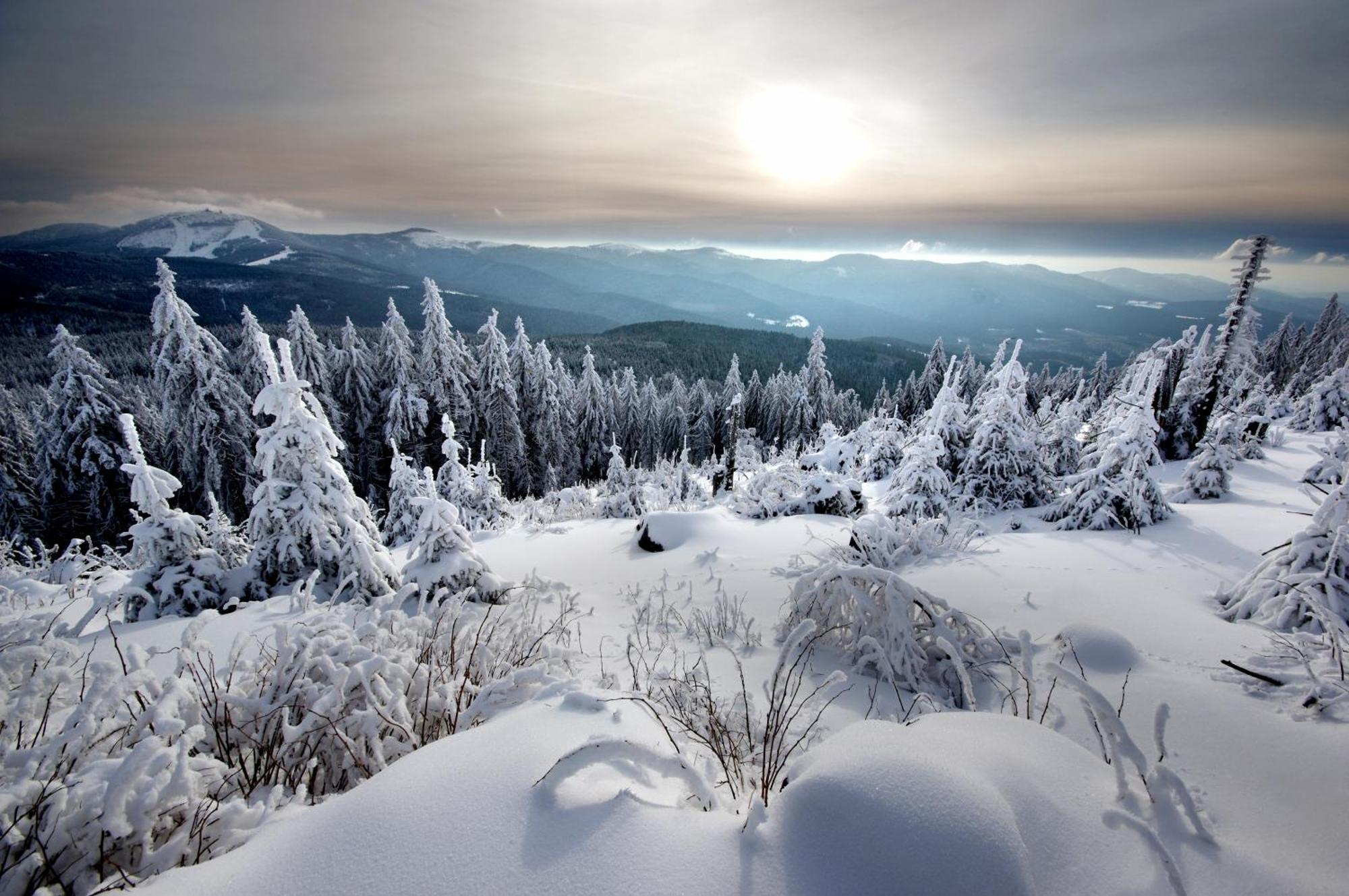 Sonnenhof Resort Bayerischer Wald لام المظهر الخارجي الصورة