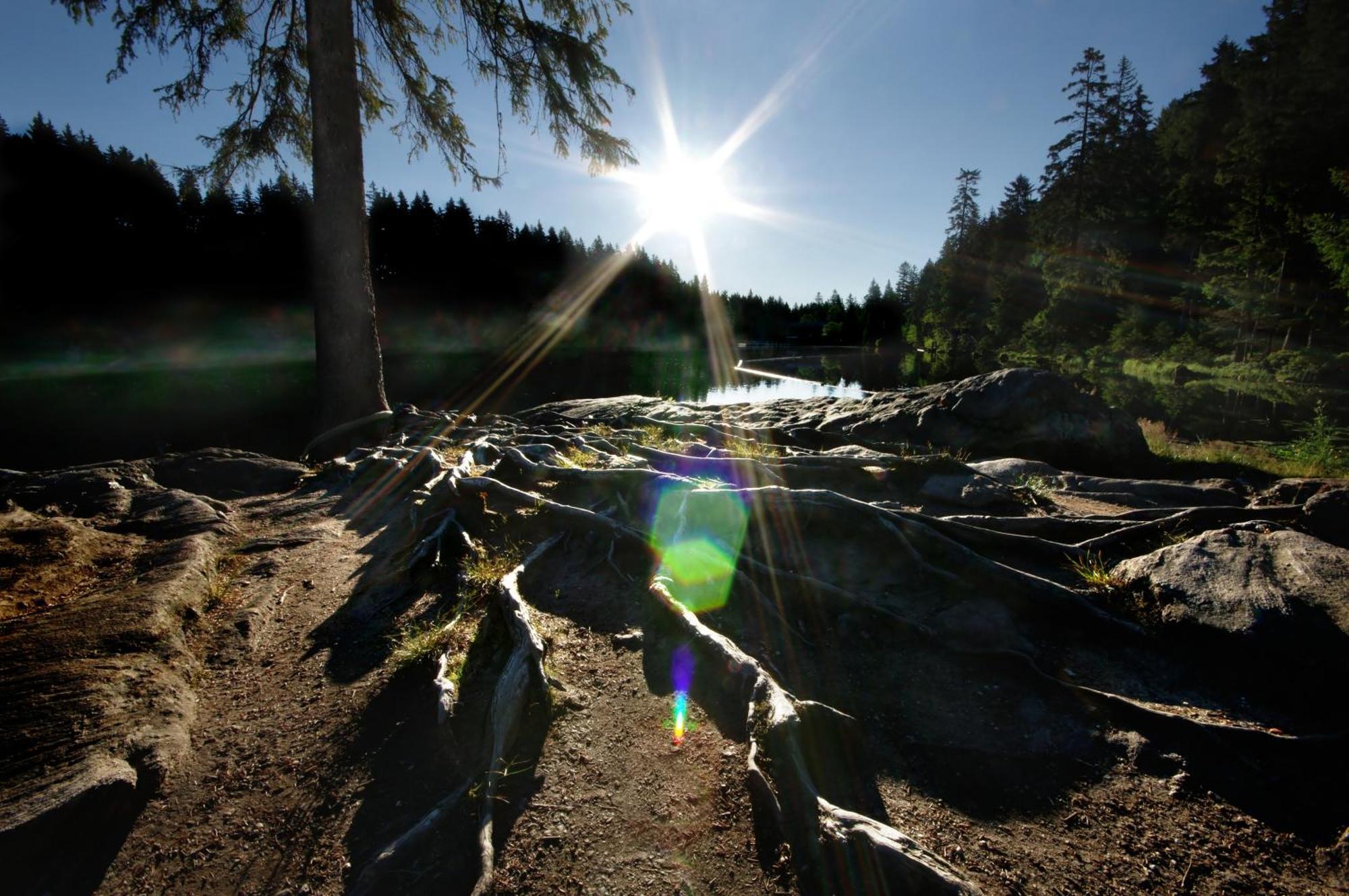 Sonnenhof Resort Bayerischer Wald لام المظهر الخارجي الصورة
