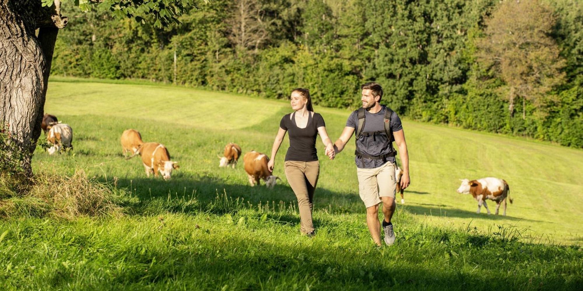 Sonnenhof Resort Bayerischer Wald لام المظهر الخارجي الصورة